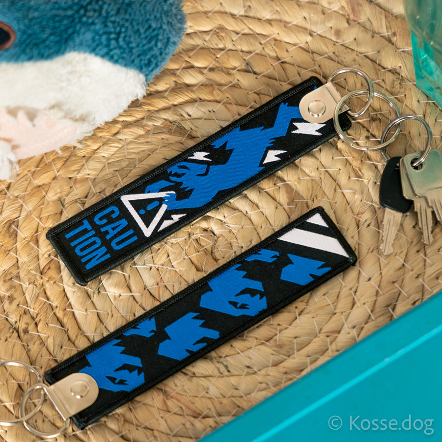 Caution · Keychain